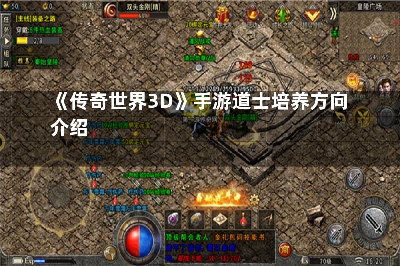 《传奇世界3D》手游道士培养方向介绍