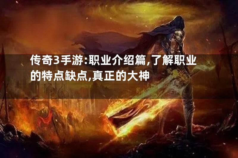 传奇3手游:职业介绍篇,了解职业的特点缺点,真正的大神