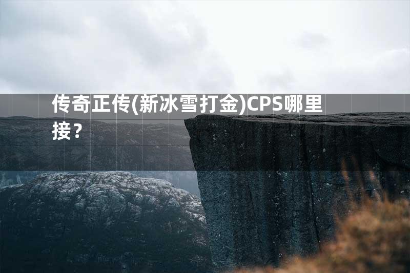 传奇正传(新冰雪打金)CPS哪里接？