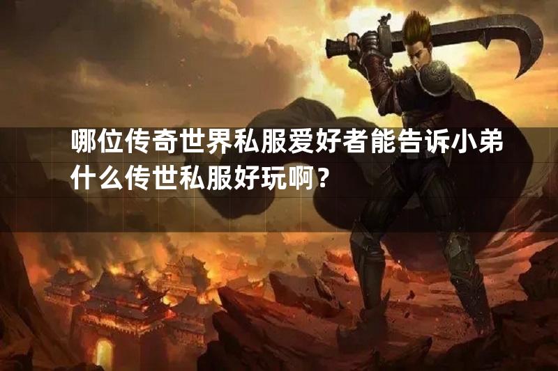 哪位传奇世界私服爱好者能告诉小弟什么传世私服好玩啊？