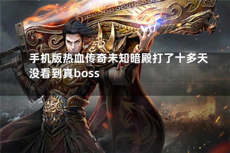 手机版热血传奇未知暗殿打了十多天没看到真boss